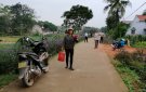 Phụ nữ xã Quảng Phú với phong trào đường hoa thay cỏ dại, bảo vệ môi trường