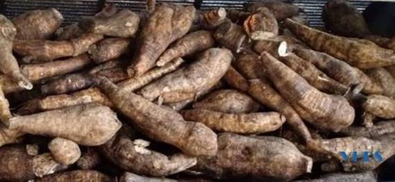 Bột sắn dây Quảng Phú trở thành sản phẩm OCOP