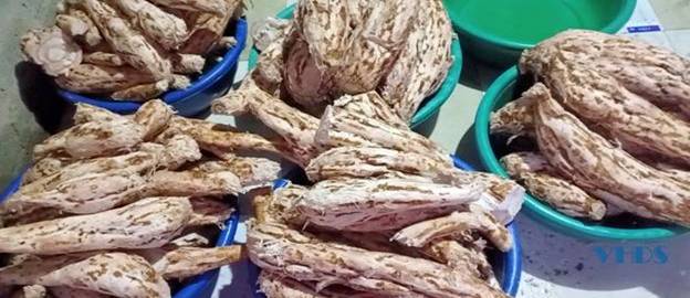 Bột sắn dây Quảng Phú trở thành sản phẩm OCOP