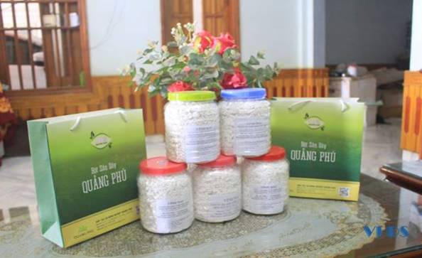 Bột sắn dây Quảng Phú trở thành sản phẩm OCOP
