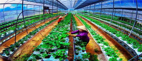 https://www.tapchicongsan.org.vn/documents/20182/285803180/Ch%C4%83m+s%C3%B3c+v%C6%B0%E1%BB%9Dn+d%C3%A2u+s%E1%BA%A1ch+-+-+L%C3%AA+Minh+Qu%E1%BB%91c.jpg/485824e1-0f45-453f-a2e0-fd472d143f9a?t=1687333679988
