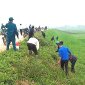 Tuyên truyền về việc tiếp tục duy trì nhiệm vụ công tác tổng vệ sinh môi trường vào chiều thứ 6 hàng tuần